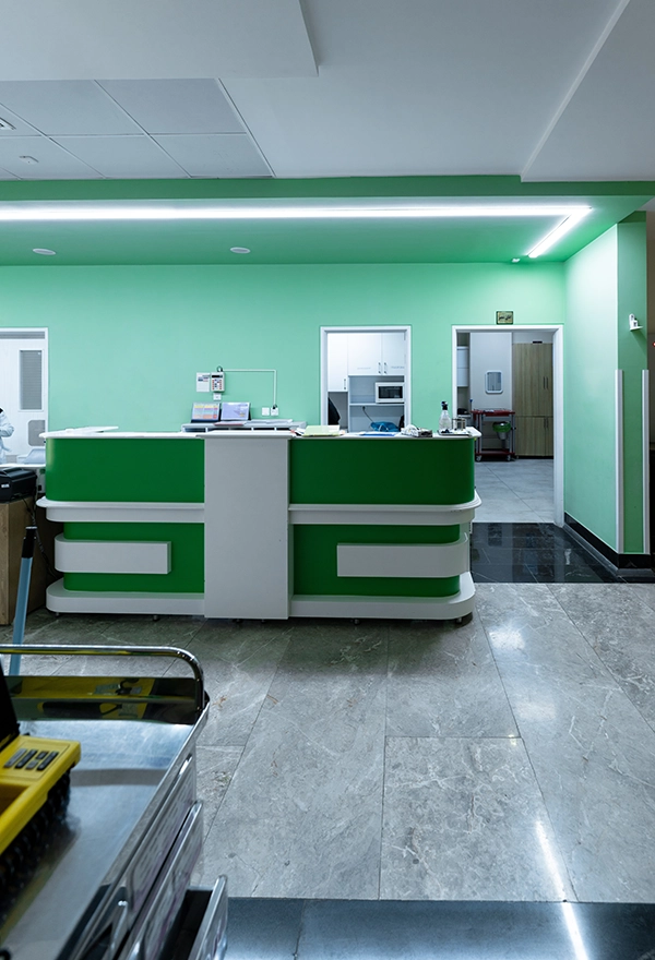 Obstetrics Image